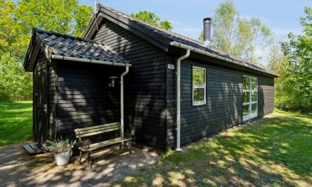 'Tomine' - 40km to the fjord 6