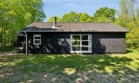 'Tomine' - 40km to the fjord 2