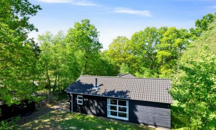 'Tomine' - 40km to the fjord 5