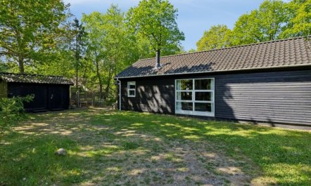 'Tomine' - 40km to the fjord 1