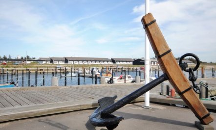 'Cita' - 100m to the fjord 3