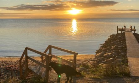 'Alpa' - 600m from the sea 1