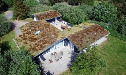 'Vieno' - 2.6km from the sea 5