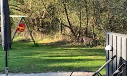 'Vieno' - 2.6km from the sea 2