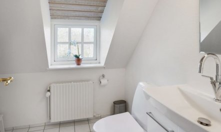 'Gertrudis' - 2km to the fjord 4