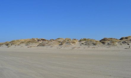 'Elinora' - 100m from the sea 7