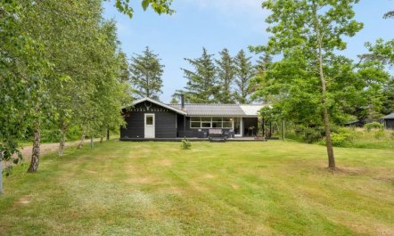 'Dagino' - 500m from the sea 2