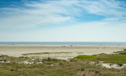 'Rieterik' - 50m from the sea 6