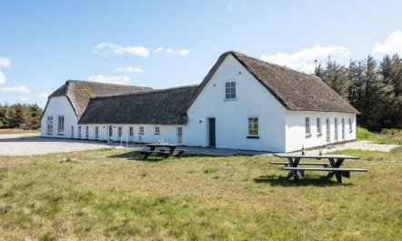 'Cornelius' - 900m from the sea