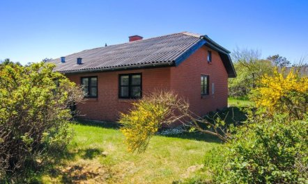 'Duco' - 300m from the sea 4