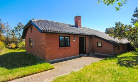 'Duco' - 300m from the sea 2