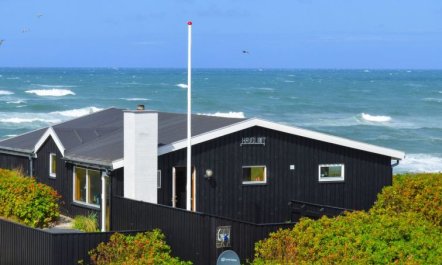 'Legolas' - 50m from the sea