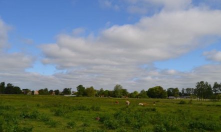 'Josina' - 32km from the sea 4