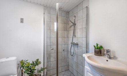 'Heike' - 700m to the fjord 1