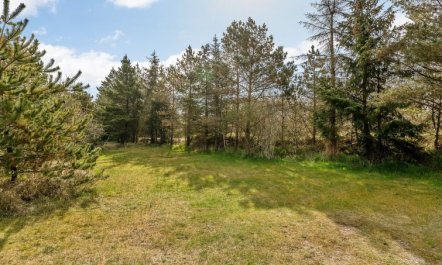 'Gundrath' - 1.4km from the sea 5