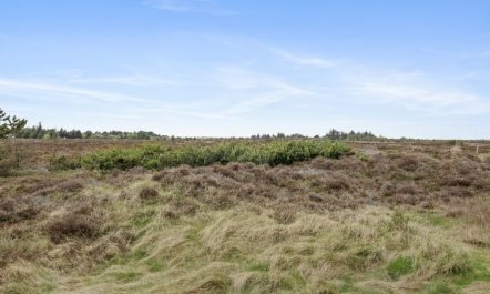 'Dida' - 3.1km from the sea 5