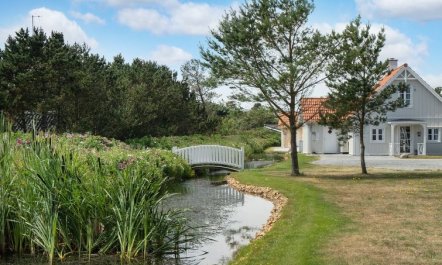 'Moa' - 800m from the sea 3