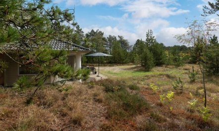 'Micke' - 3.2km from the sea 6