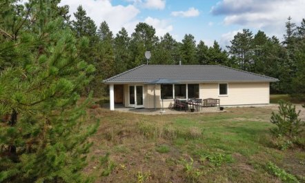 'Micke' - 3.2km from the sea 2