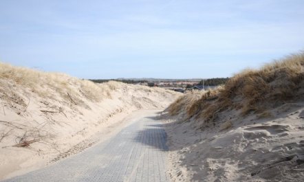 'Elfrun' - 250m from the sea 4