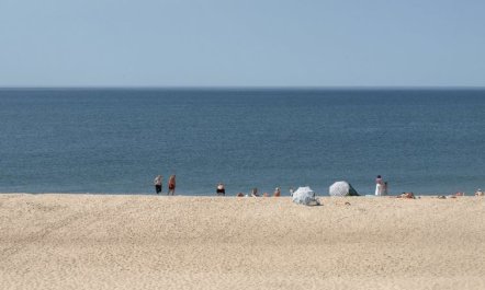 'Elfrun' - 250m from the sea 3