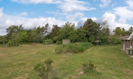 'Rudy' - 900m to the fjord 4