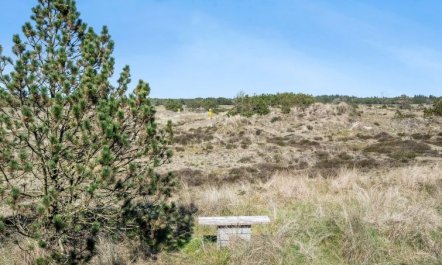 'Abiorn' - 2.5km from the sea 6