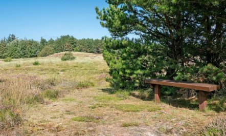 'Siegried' - 2.2km from the sea 7