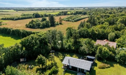 'Voitto' - 1km to the fjord 1