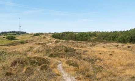 'Reiko' - 1.5km from the sea 6