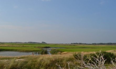 'Akim' - 2km from the sea 2