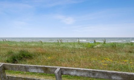 'Dory' - 30m from the sea 4