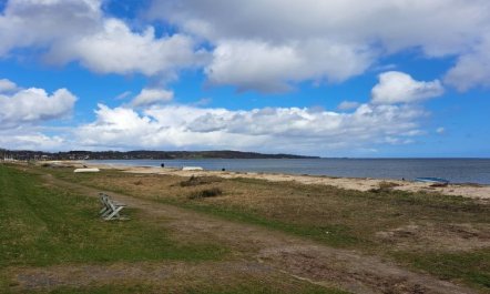 'Dory' - 30m from the sea 3