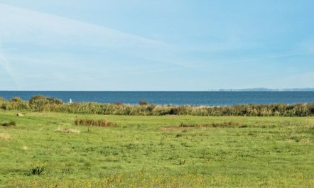 'Alexis' - 250m from the sea 4