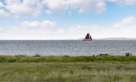 'Alexis' - 250m from the sea 2