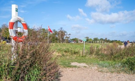 'Ekatarina' - 125m from the sea 2