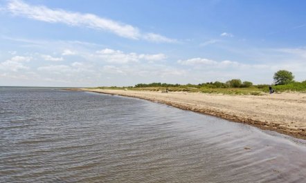 'Ika' - 450m from the sea 2