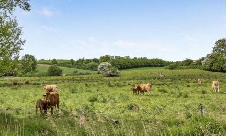 'Sigbritt' - 100m from the sea 6