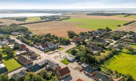 'Ancel' - 1.5km to the fjord 2