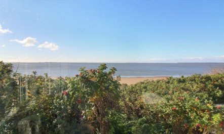 'Erno' - 20m from the sea 6