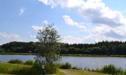 'Alvira' - 30km from the sea 6