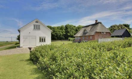 'Ingulf' - 18km from the sea 6