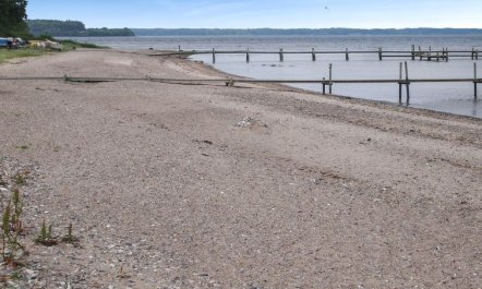 'Enja' - 150m from the sea 5