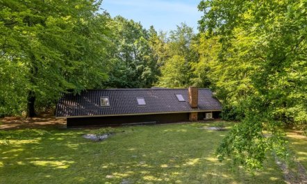 'Jaakoppi' - 25km from the sea 2