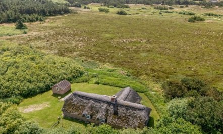 'Vangja' - 700m to the fjord 1