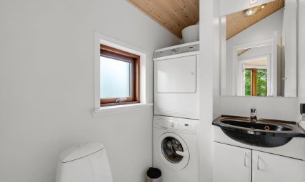 'Reiner' - 300m to the fjord 3