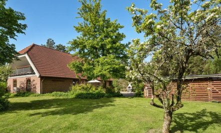 'Iiro' - 2.5km from the sea 5