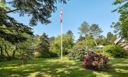 'Iiro' - 2.5km from the sea 7