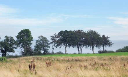 'Iorund' - 550m from the sea 2