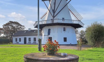 'Iorund' - 550m from the sea 7